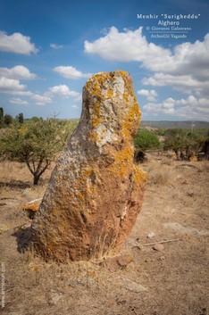 Alghero_menhir surigheddu_NL_5.jpg