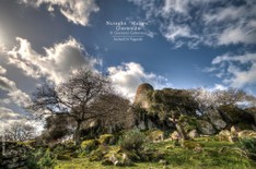 CHEREMULE_nur majore_HDR_NL_7.jpg